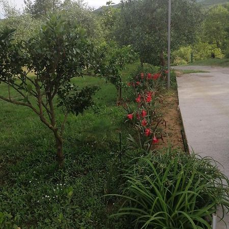 Apartman Petovic Cattaro Esterno foto