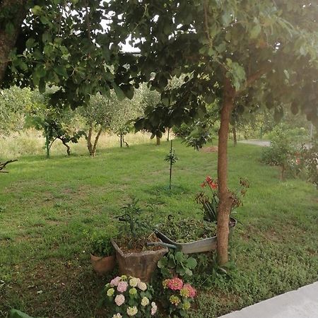 Apartman Petovic Cattaro Esterno foto