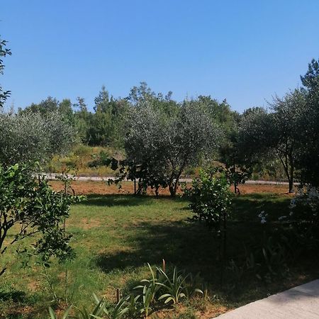 Apartman Petovic Cattaro Esterno foto
