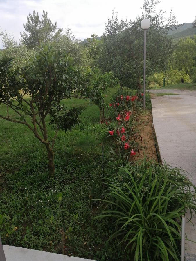 Apartman Petovic Cattaro Esterno foto