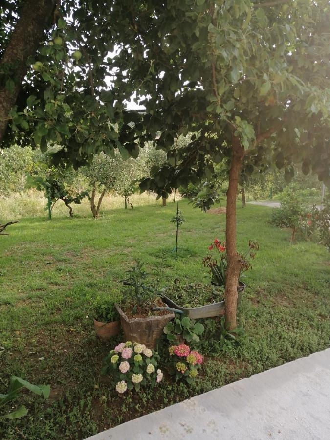 Apartman Petovic Cattaro Esterno foto