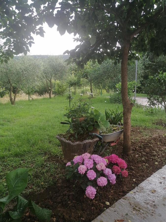 Apartman Petovic Cattaro Esterno foto